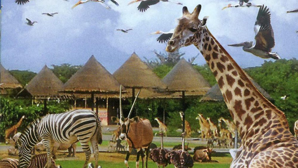 .14 ฝันเห็นสัตว์ ทำนายแม่นๆ พร้อมเลขมงคล.