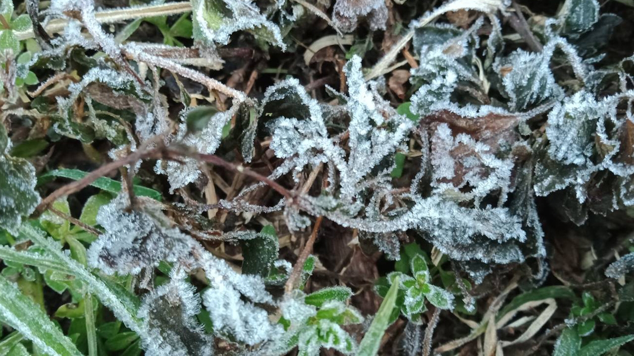 หยุดยาวไม่สนโควิด แห่ขึ้น "ดอยอินทนนน์" ดูทะเลหมอก หนาว 3 องศา