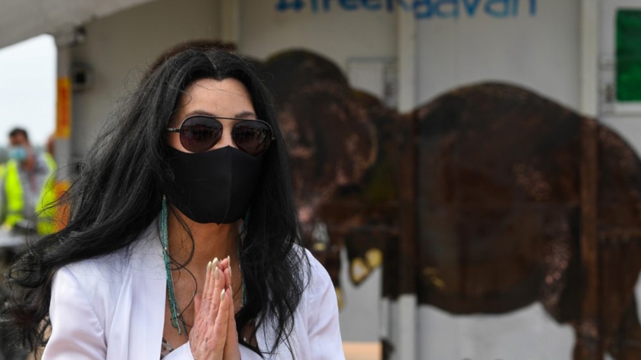 แชร์ ศิลปินหญิงคนดัง วอนช่วย ‘บัวน้อย’ กอริลลาที่สวนสัตว์บนห้างพาต้า 