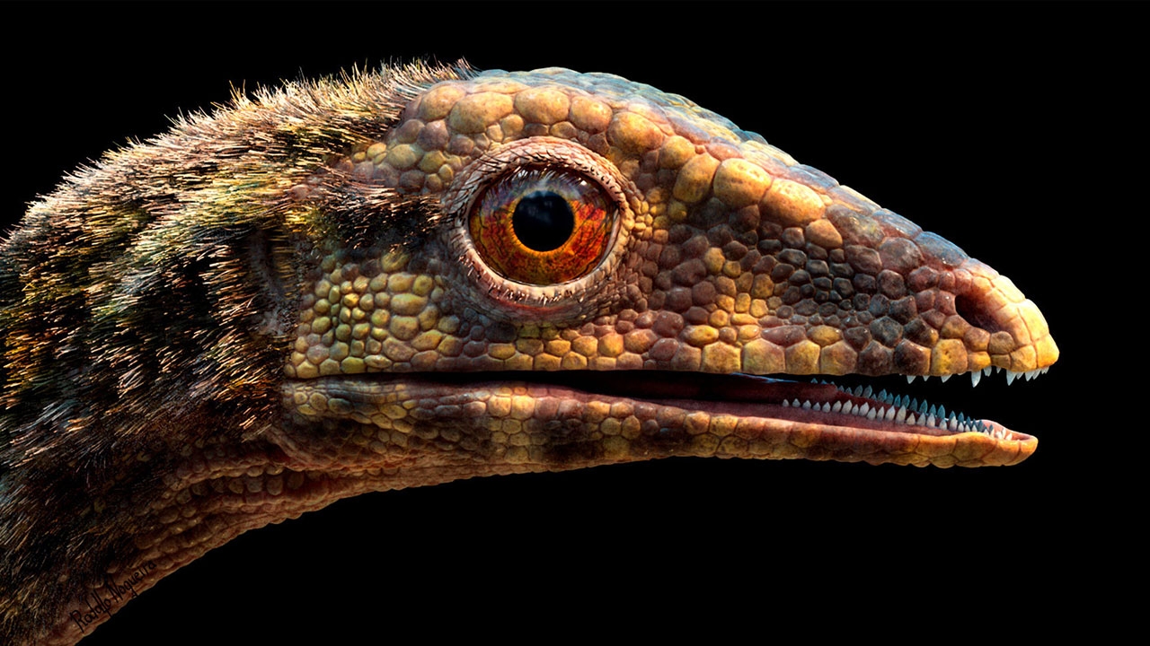 ไขความลับต้นกำเนิดของเทอโรซอร์