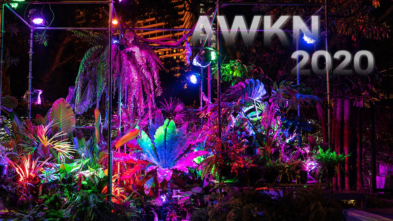 เสพงานศิลป์ ผ่านเทศกาลแสงไฟ Awakening Bangkok 2020 ย่านเจริญกรุง ตลาดน้อย