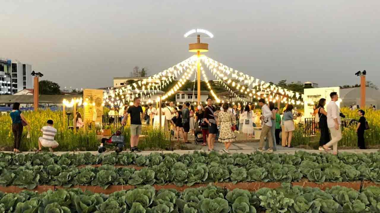ความสุขอยู่รอบตัวเราในงาน “Winter Market Fest”
