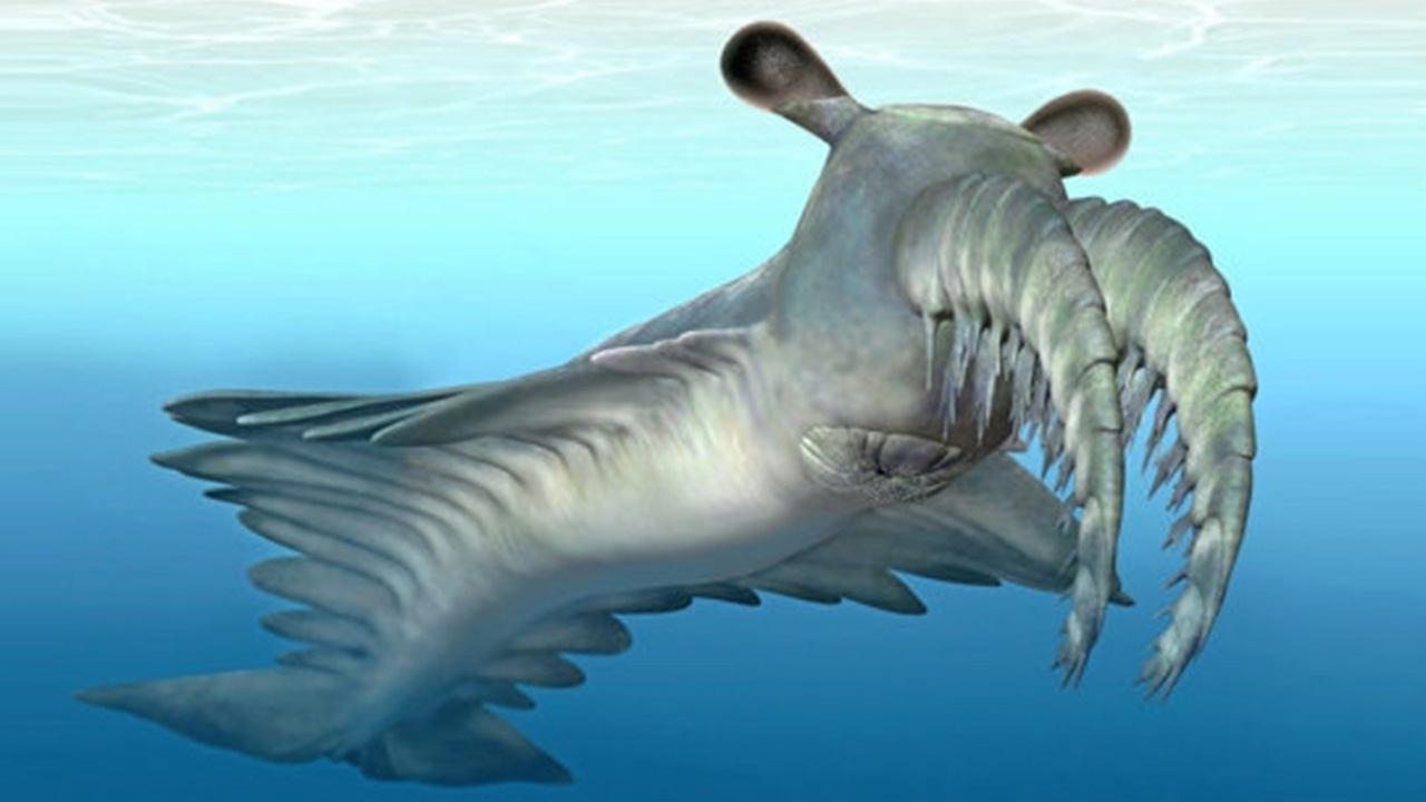 วิวัฒนาการแข่งขันอาวุธ ในสัตว์ทะเลโบราณ