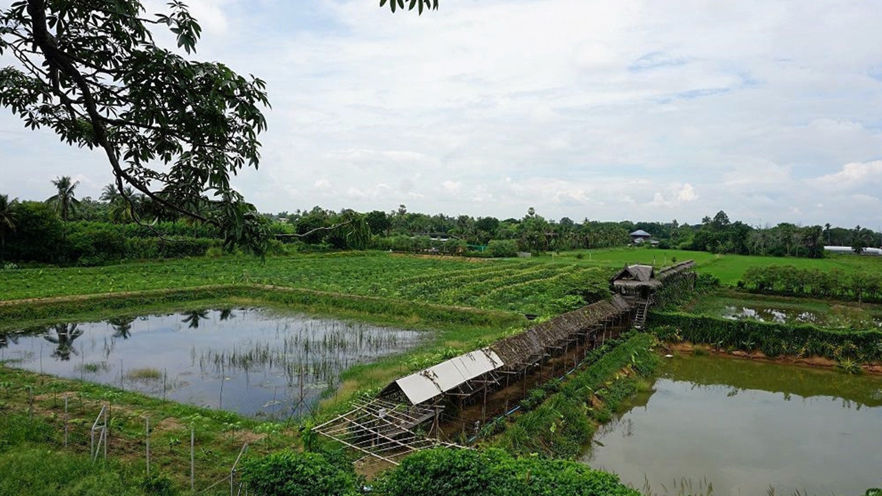 Zoning by Agri-Map เปลี่ยนพืชรายได้เพิ่ม
