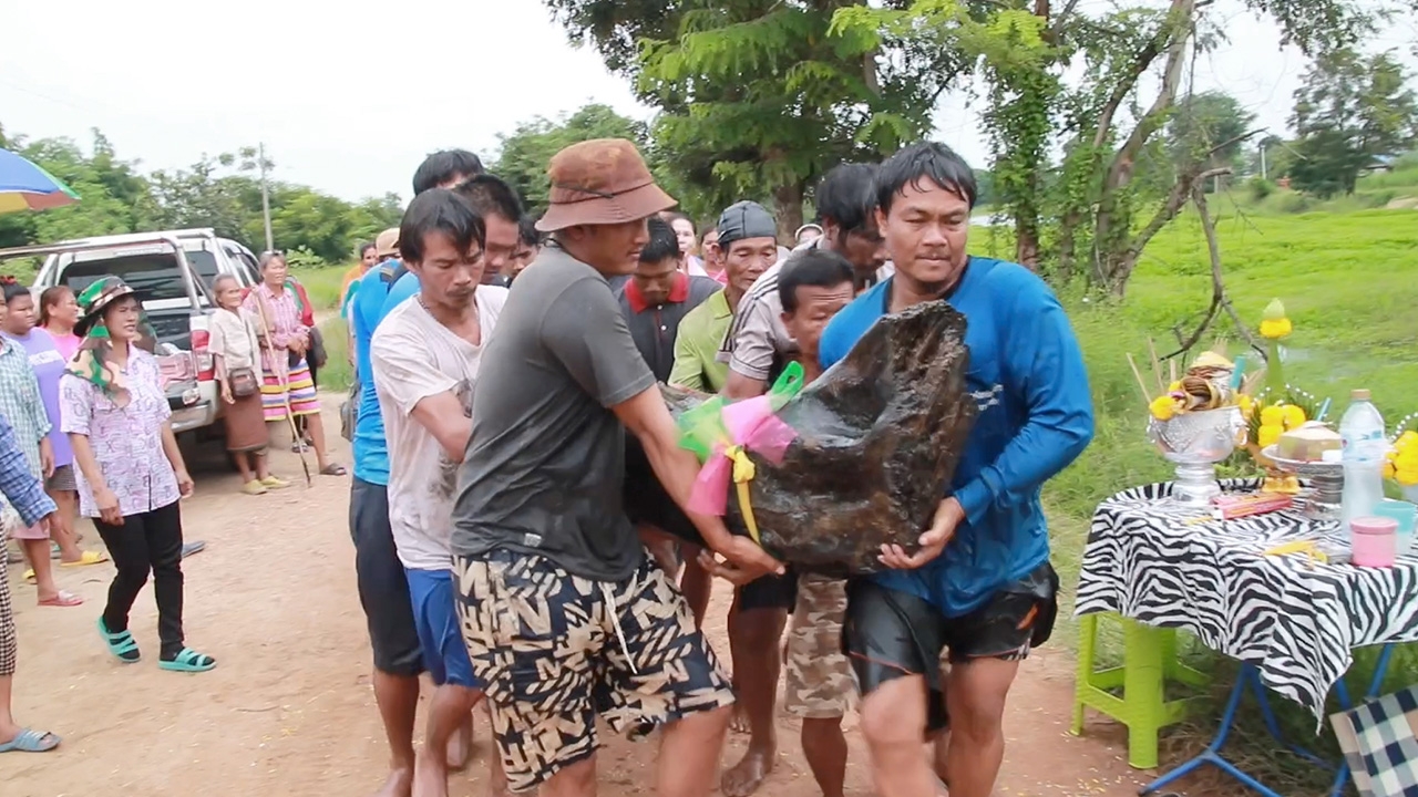 คอหวยไม่พลาดเลขเด็ด หลังพบตะเคียน 3 ต้น ตรงกับ "เจ้าแม่ศรีทอง" มาเข้าฝัน