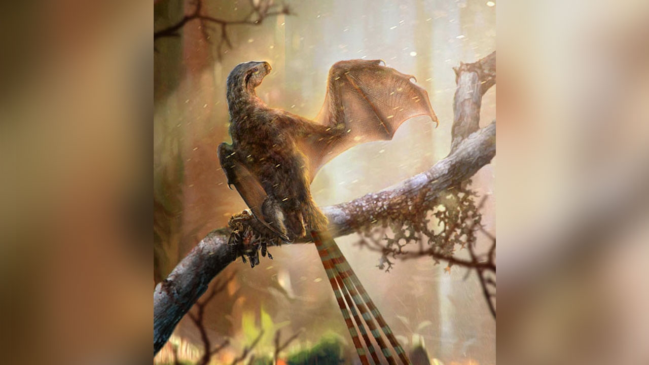 ความสามารถในการบินของ 2 ไดโนเสาร์