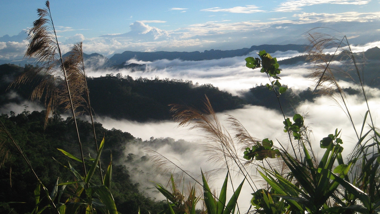 แม่ฮ่องสอนเหลือ 16 องศาฯ หมอกขาวปกคลุมเมือง เตรียมรับคนมาเที่ยวหน้าหนาว