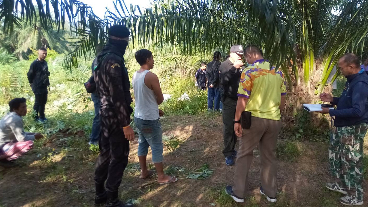 ช้างป่ารุมทำร้ายพระ ขณะออกบิณฑบาต ฉีกร่างจนมรณภาพคาสวนยางที่ชลบุรี