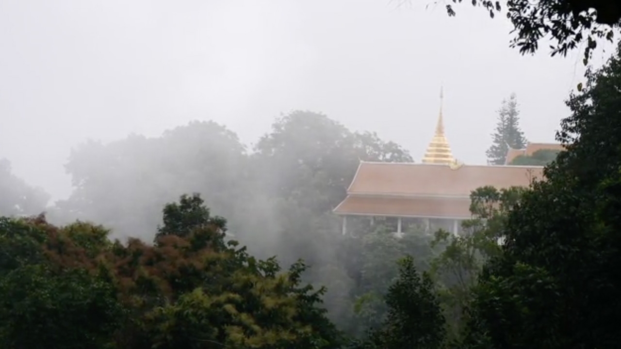 "ดอยสุเทพ" อากาศเย็นสบาย ปกคลุมด้วยหมอก พร้อมต้อนรับนักท่องเที่ยว
