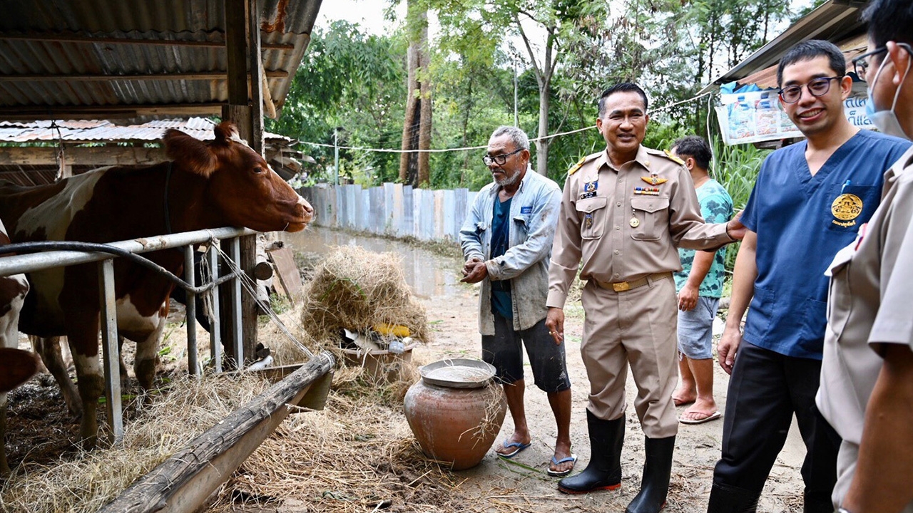 อธิบดีปศุสัตว์ นำอาหารสัตว์พระราชทาน ถุงยังชีพช่วยเกษตรกร ชาวปากช่อง