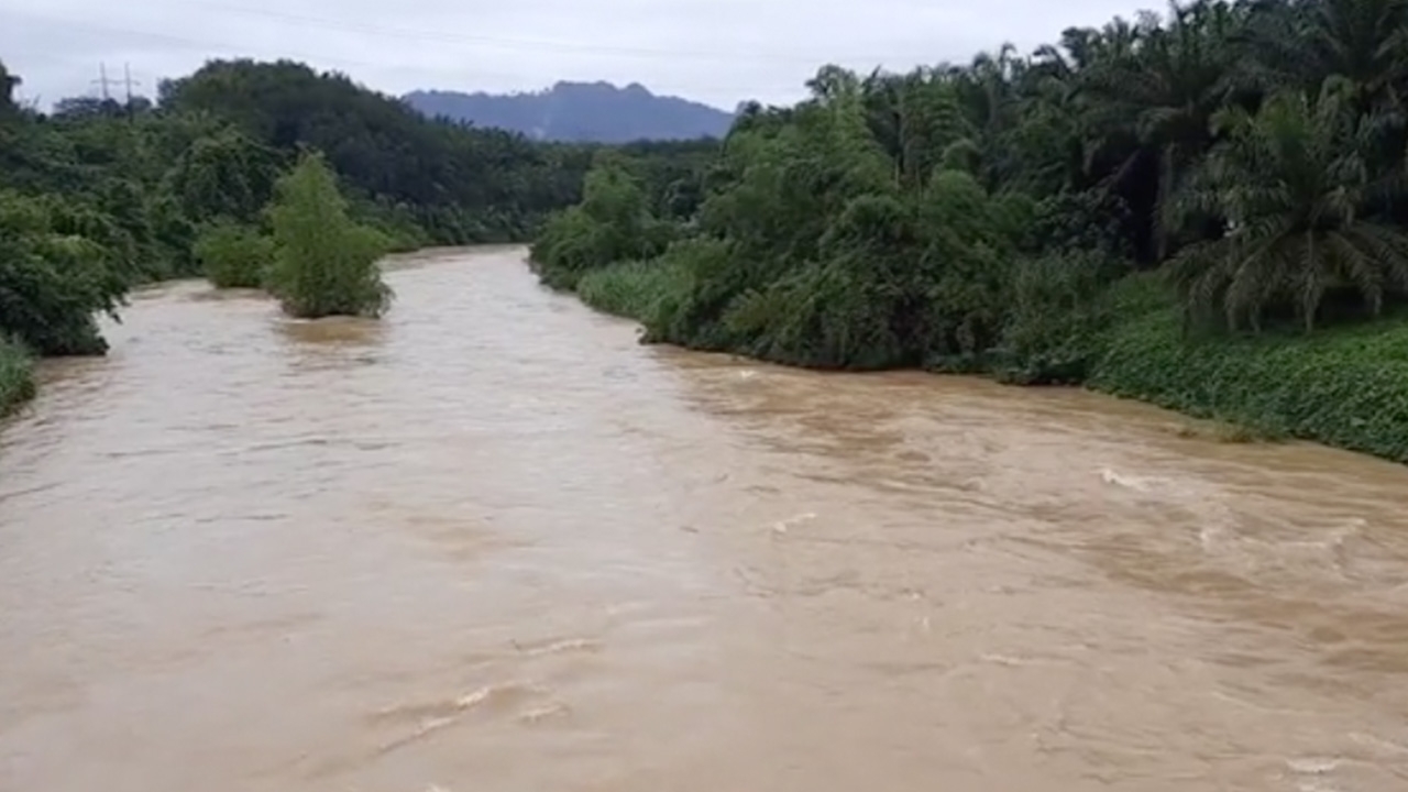 ชาวบ้านพังงายังผวาจระเข้ ขณะที่บางส่วนมองว่าอาจเป็นตัวเงินตัวทองมากกว่า