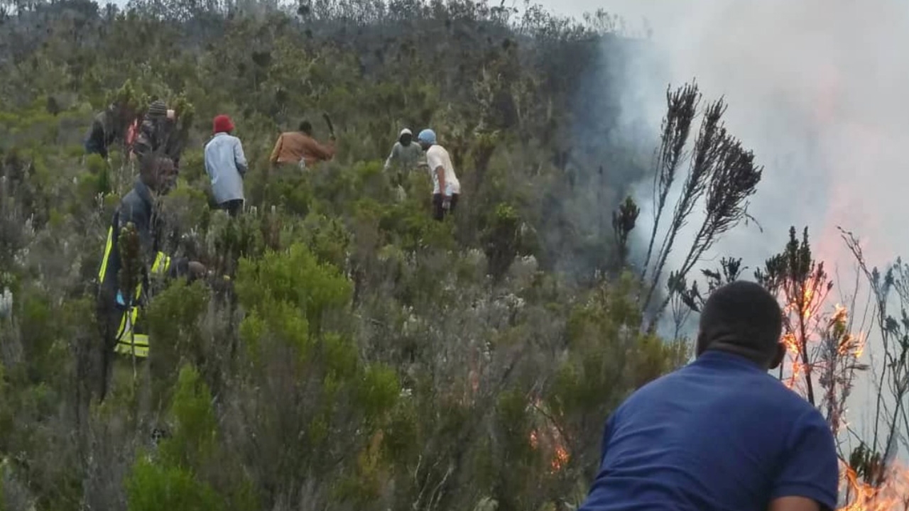 ไฟป่าลาม "คิลิมันจาโร" ภูเขาสูงที่สุดในทวีปแอฟริกา
