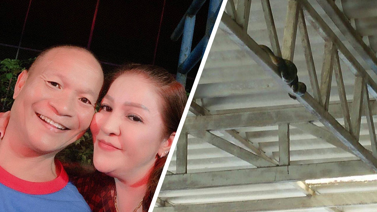 มด เมียหม่ำ หัวใจแทบวายเจองูโผล่เยี่ยม ชาวเน็ตแห่ขอบ้านเลขที่ (คลิป)