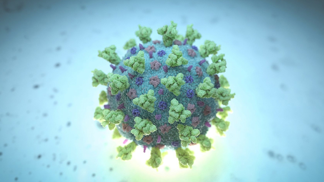 บ.ออสเตรเลียอ้าง พัฒนาสเปรย์พ่นจมูก ยับยั้งโควิดได้ 96%