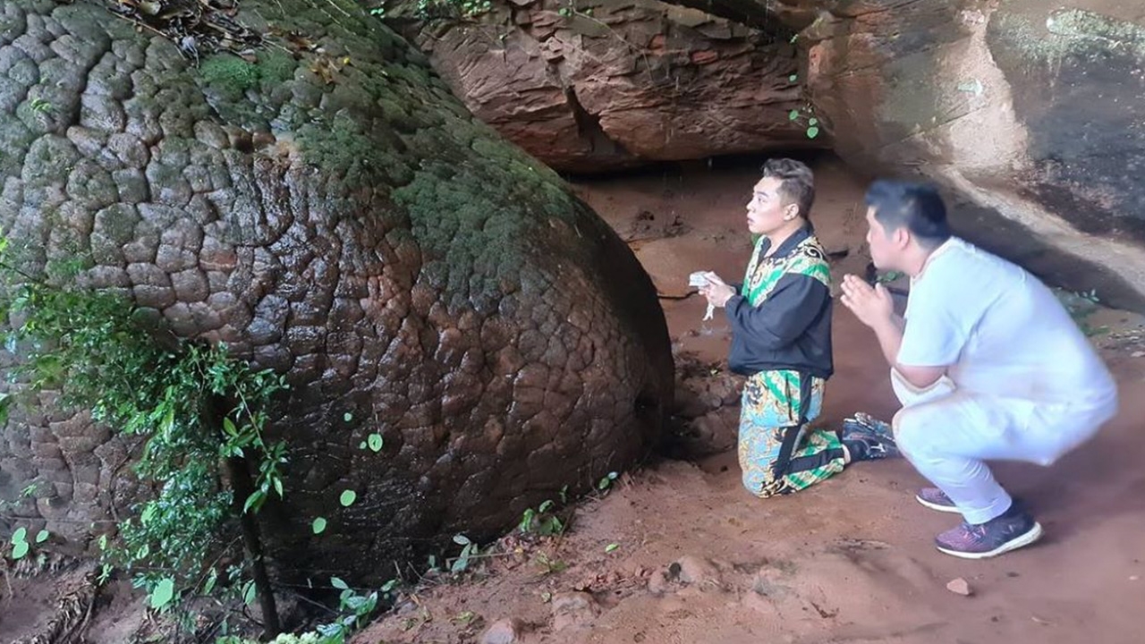 มดดำ พาพิสูจน์ปาฏิหาริย์ที่น่าทึ่งของปู่อือลือ เกี่ยวข้องอะไรกับถ้ำนาคา