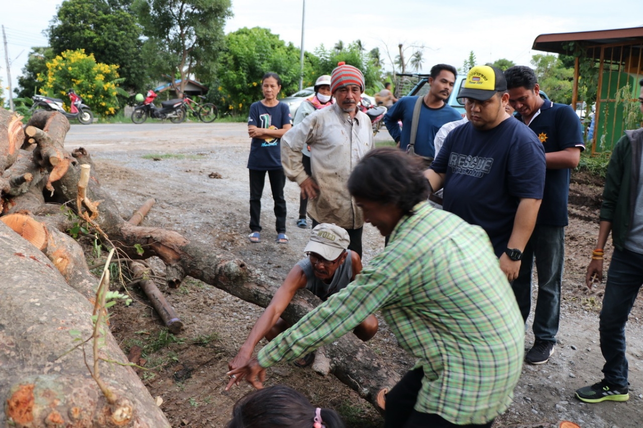 เห็นเหมือนกันไหม หน้าคนแก่ โผล่กลางต้นสะตือศักดิ์สิทธิ์ อายุกว่า 100 ปี
