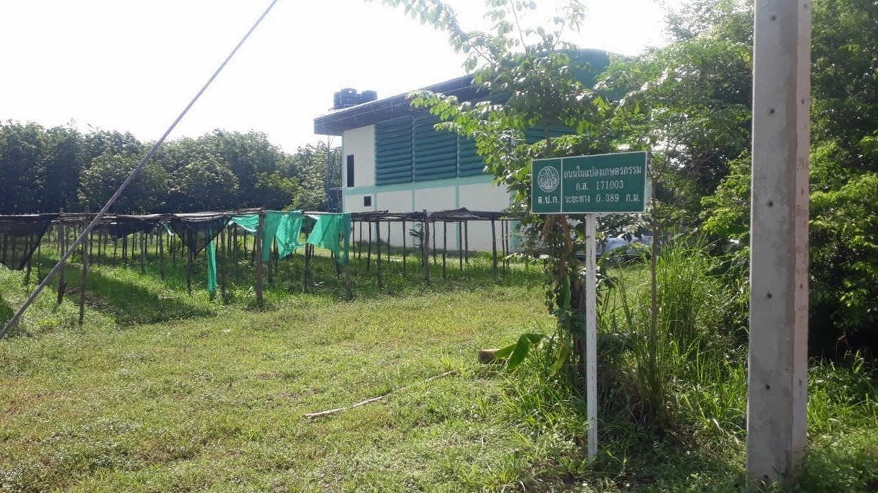 ยึดคืนที่ดิน ส.ป.ก. 6 ปี เพิ่งเห็นผล สหกรณ์บ้านดงกล้วย..เริ่มมีรายได้