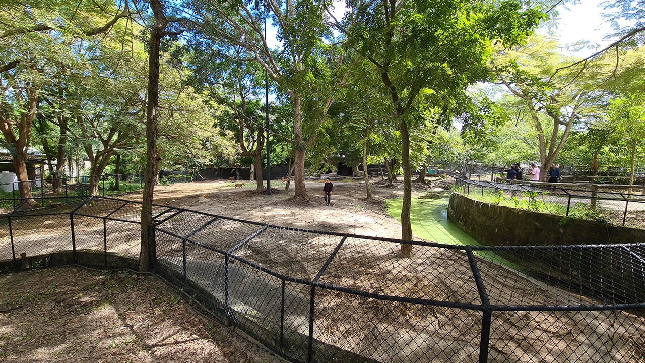 สวนสัตว์สงขลาเปิดตามปกติ แต่ จนท.เสียขวัญ ตกใจเจ้านายที่เคารพด่วนจากไป