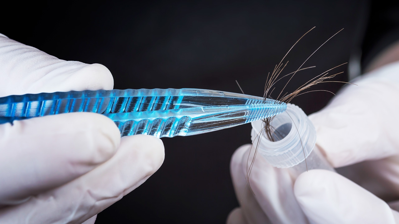 การตรวจ DNA จากเส้นผม เมื่อไม่เจอรากผม "ไมโทคอนเดรีย" คือความหวัง