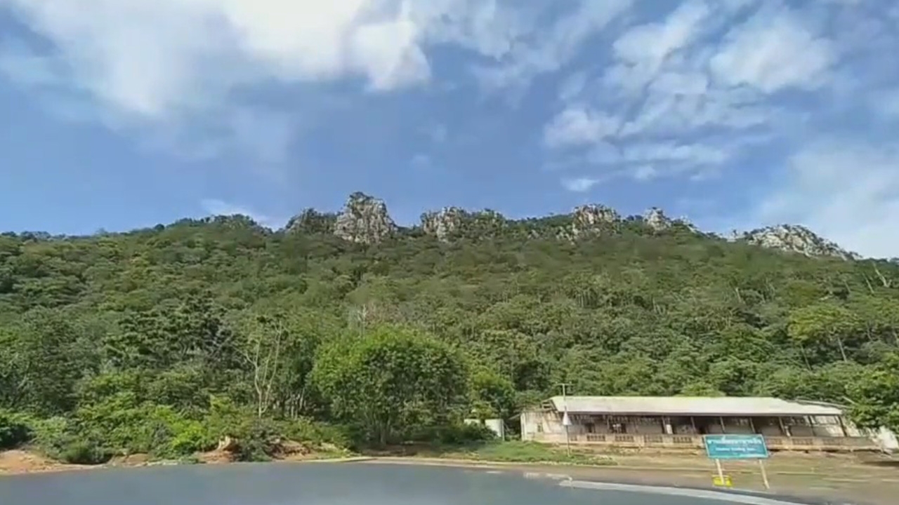 พญาลิงพาฮิต ชวนขึ้นเขาหน่อ ท่องเที่ยวเชิงธรรมชาติ เพื่อผู้รักการผจญภัย