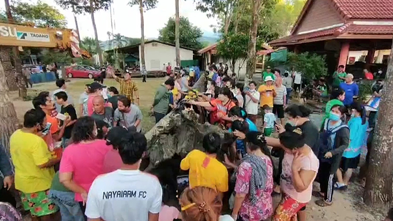 คอหวยฮือฮา พบ "ตะเคียนทองยักษ์" อายุกว่า 100 ปี โผล่กลางคลองภักดีรำไพ