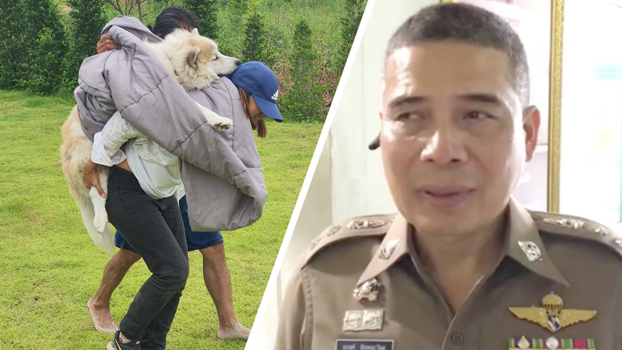 ตำรวจเตรียมออกหมายเรียก เจ้าของร็อตไวเลอร์ หลังรุมขย้ำบางแก้วดับ