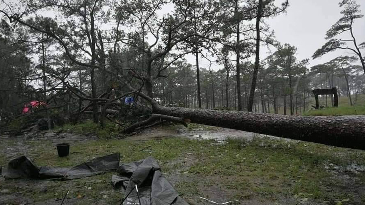 ฝนตกที่ภูสอยดาว ต้นไม้โค่นทับลานกางเต็นท์-นทท.ลื่นล้ม เจ็บรวม 5 ราย