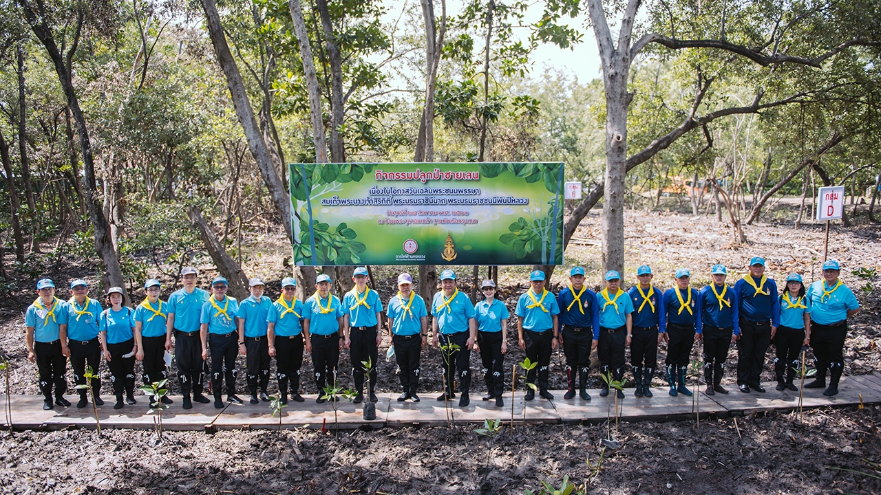 ตามติดกิจกรรมปลูกป่าชายเลนเฉลิมพระเกียรติฯ ฟื้นฟูธรรมชาติ ณ ป้อมพระจุลจอมเกล้า กับ MEA