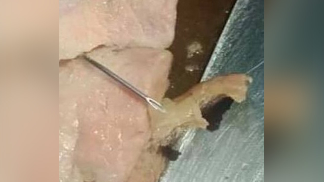 มื้ออร่อยกลายเป็นสะพรึง เจอเข็มฉีดยาในหมูย่าง หวิดทิ่มกระพุ้งแก้ม