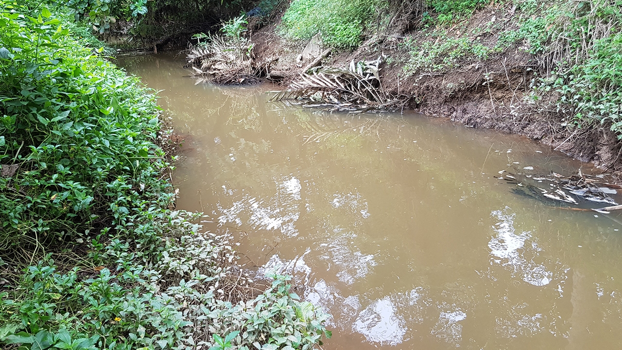 ชาวบ้านระยอง เชื่อจระเข้ไล่กัดคนทอดแหเจ็บ น่าจะหลุดจากฟาร์มตอนน้ำท่วม