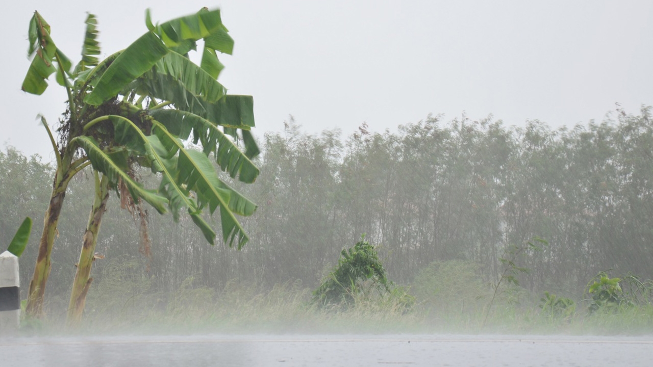ประกาศฉบับ 10 เตือนพายุ "โนอึล" จ่อขึ้นฝั่งเวียดนามแล้ว ฝนเตรียมถล่มทั่วไทย