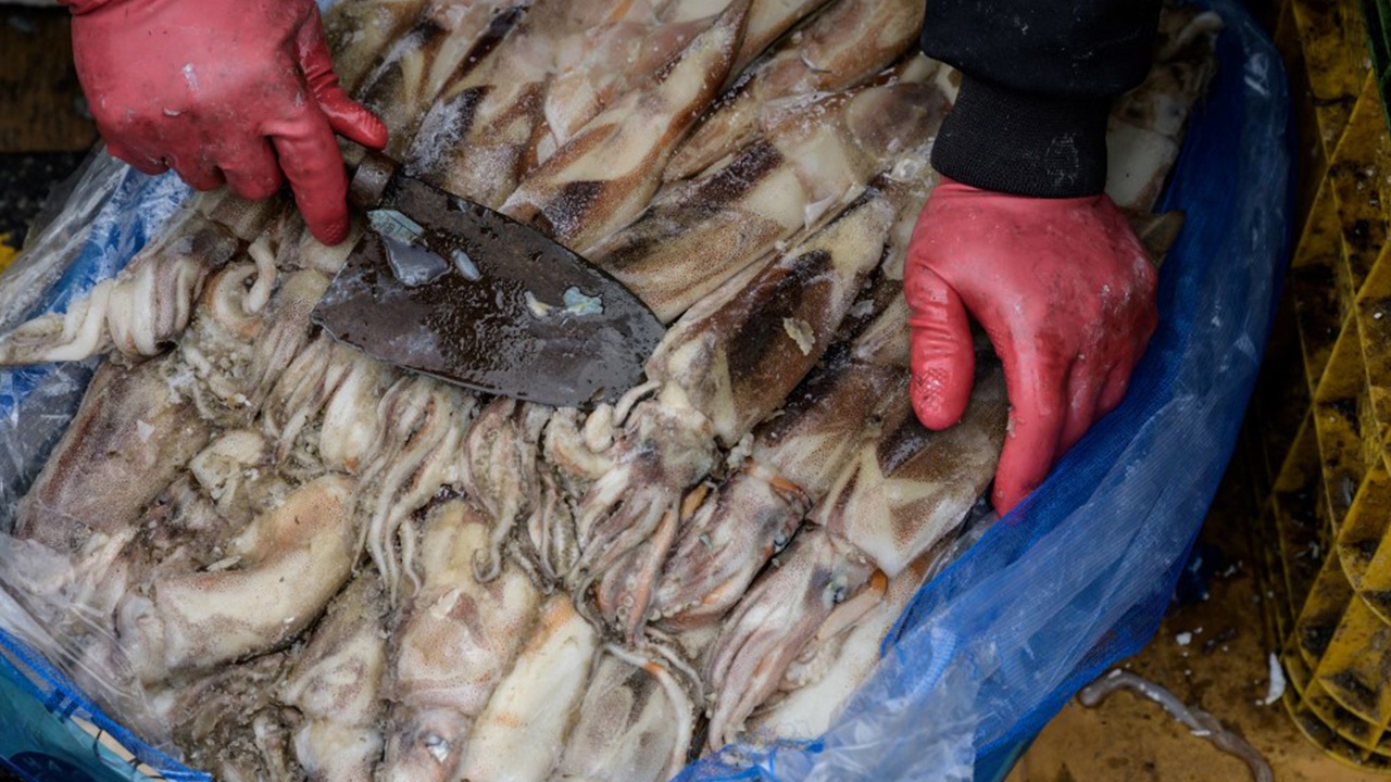 จีนผวา พบเชื้อไวรัสโคโรนาในหมึกนำเข้า เตือนคนซื้อไปตรวจโรค