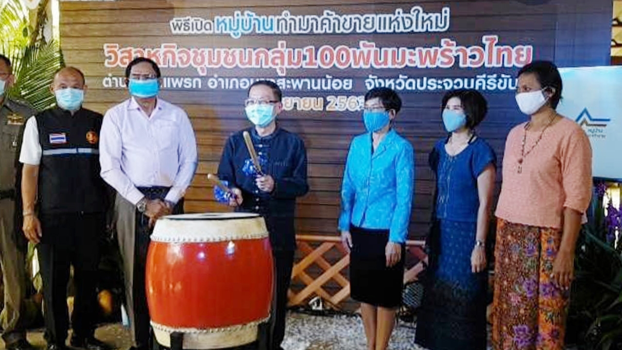 กลุ่ม 100 พันมะพร้าวไทย