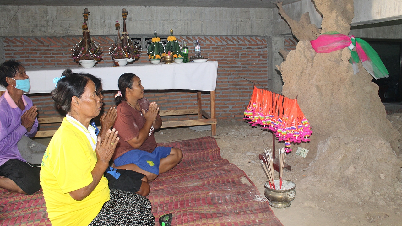 แห่ไหว้จอมปลวก คล้าย "พญานาค" โผล่ใต้ถุนศาลาการเปรียญ ไม่พลาดได้เลขเด็ด