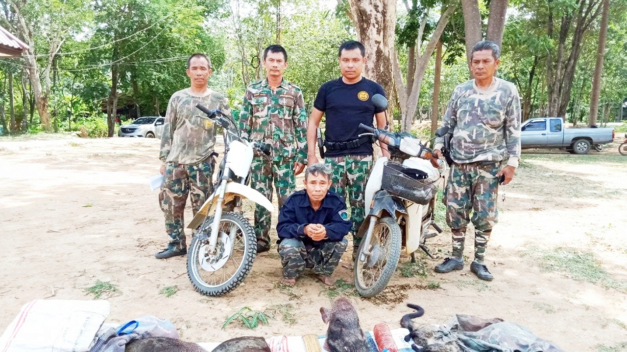 รวบลุงวัย 63 ลอบล่าหมูป่าและชะมดเช็ด ในเขตรักษาพันธุ์สัตว์ป่าถ้ำเจ้าราม