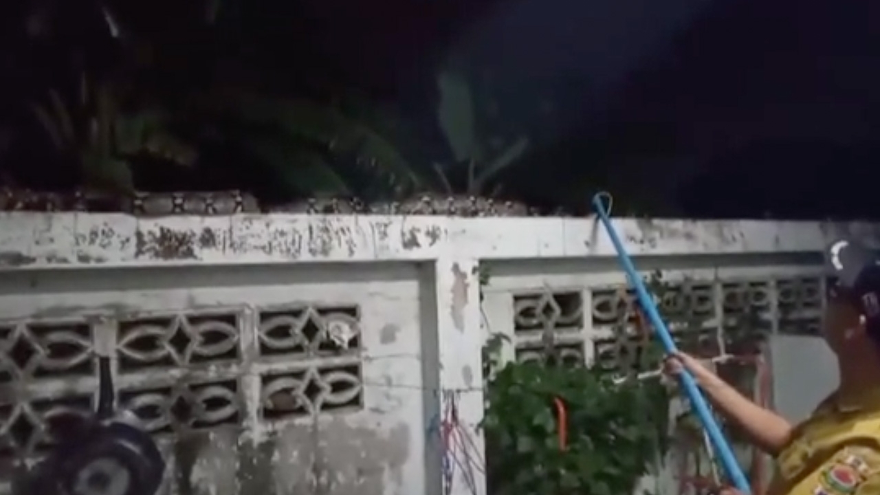 หน่วยกู้ภัยจับงูเหลือมยาว 4 เมตร แอบเข้าบ้านคนหวังกินลูกแมว