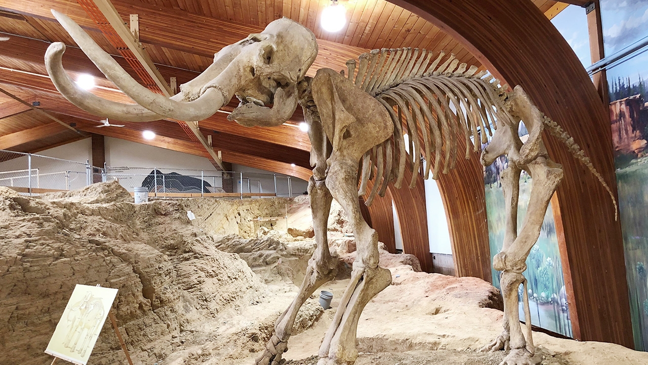 คำนวณอุณหภูมิช่วงยุคน้ำแข็งของโลก