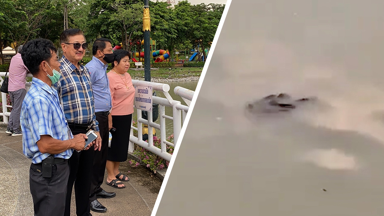 จระเข้โผล่ลอยคอในสระน้ำศาลากลางนนท์ สาวมาออกกำลังกายถ่ายคลิปไว้ได้