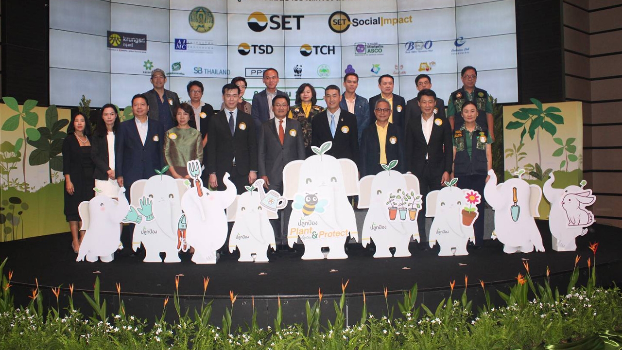 ตลาดหลักทรัพย์ฯ ร่วม กรมป่าไม้ เดินหน้าลดโลกร้อน ร่วมมือปลูกไม้ให้ได้ป่า 