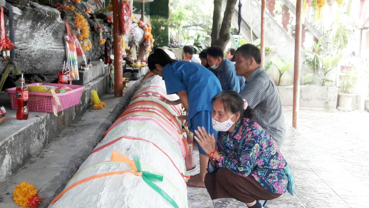 คอหวยลำพูน แห่ลูบหาเลขเด็ดขอโชค เจ้าแม่ตะเคียนยักษ์ 2 ต้น ที่วัดดอยติ 