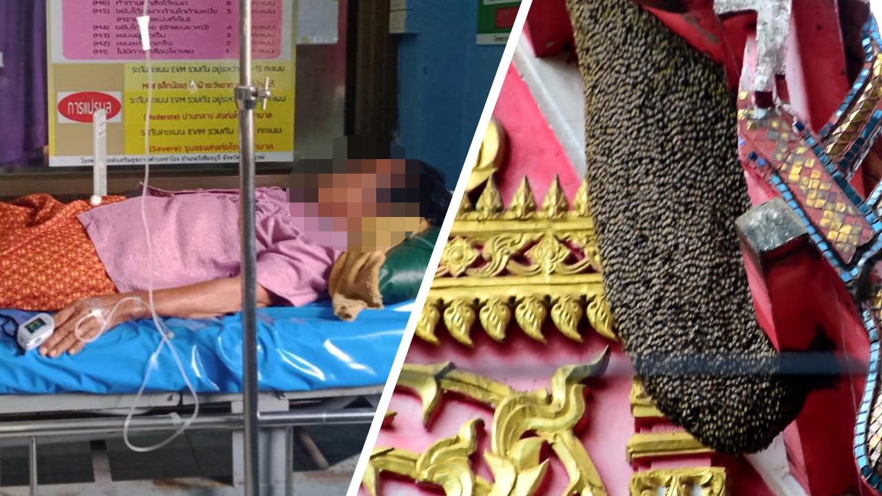กระเจิง ผึ้งแตกรังบินว่อน ต่อยคนทั้งตลาด ยาย 77 โดนหนัก รุมกว่า 50 ตัว