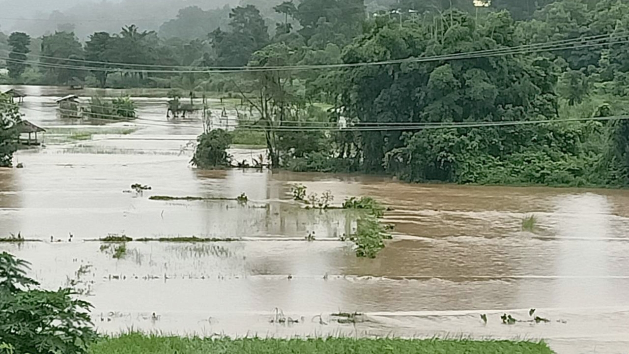 แม่ฮ่องสอนฝนตกมา 3 วัน น้ำสาละวินขึ้นสูง ส่วนลำน้ำแม่สะงาล้นท่วมไร่นา