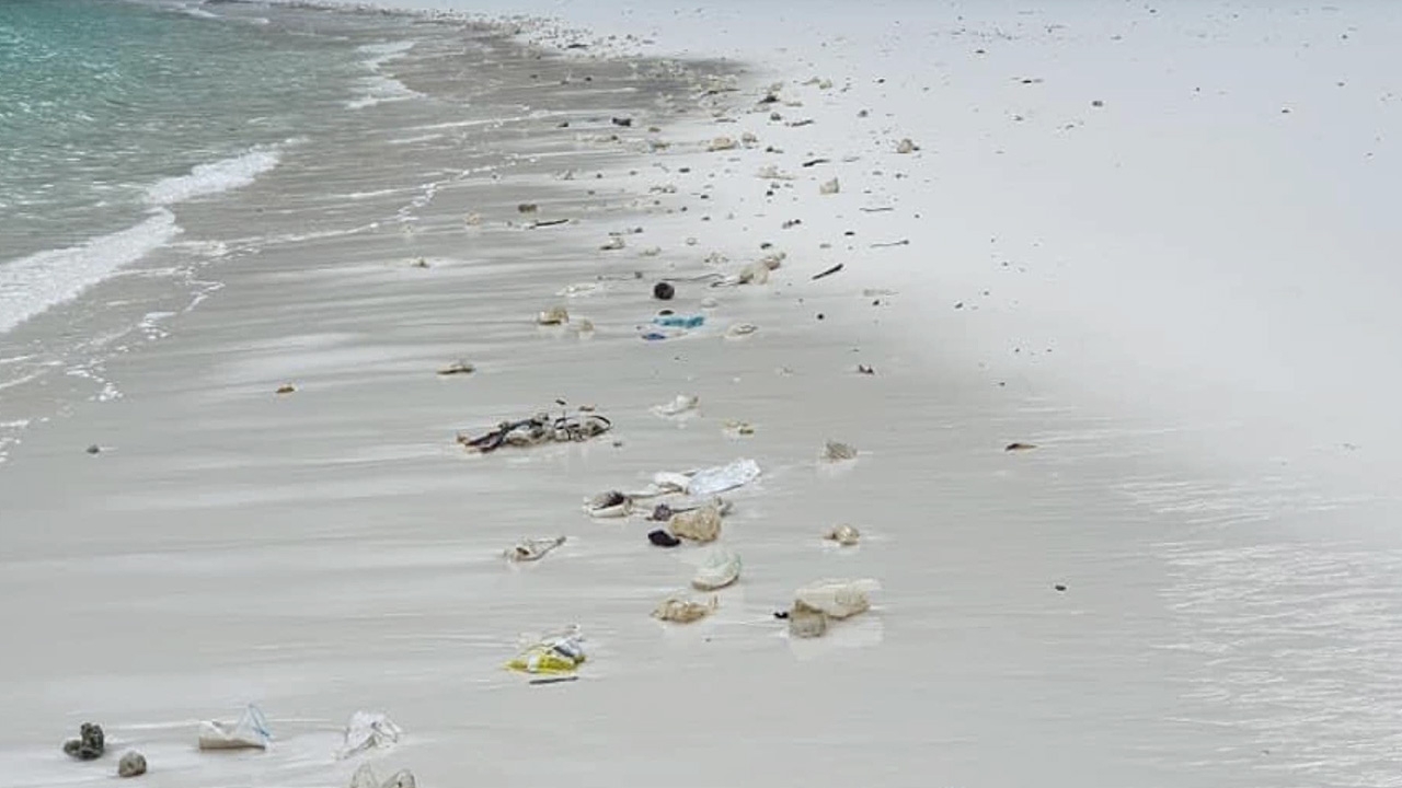 เพจดังเผย "น้ำดื่มถ้วย" เกลื่อนอ่าวมาหยา ใช้ง่ายแต่เก็บยากเป็นขยะสะสม