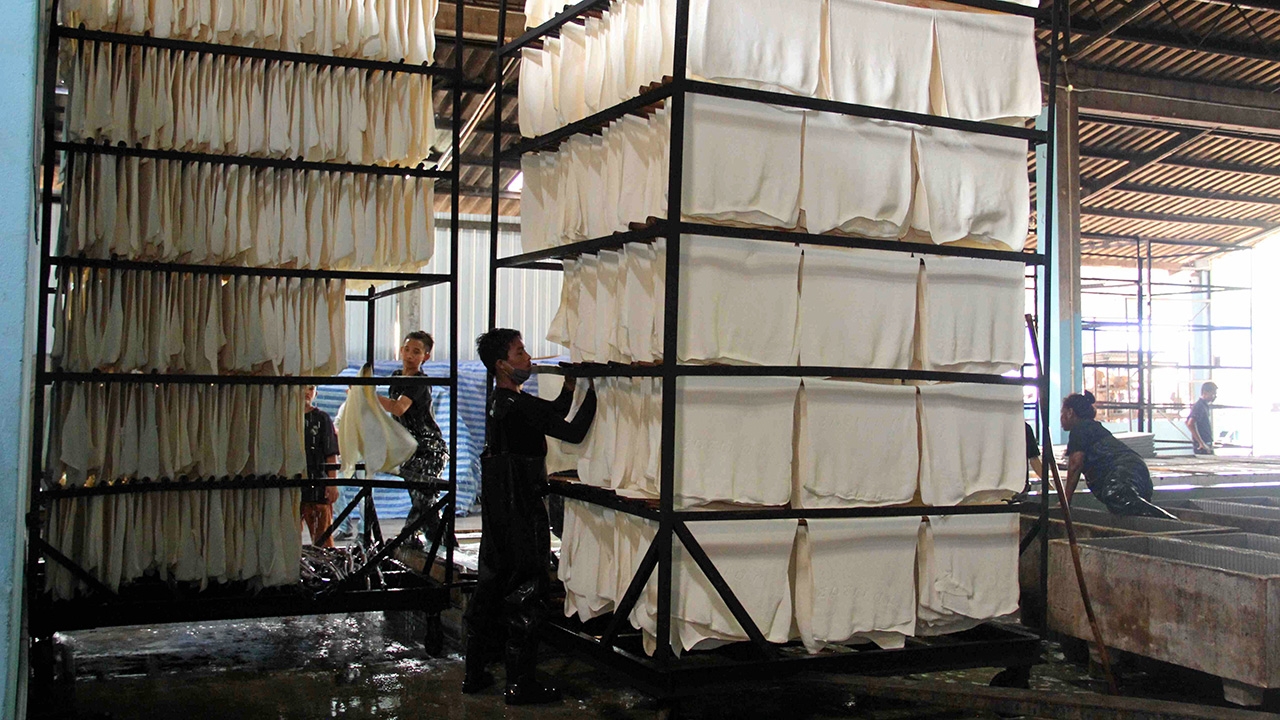 อาณาจักรยางพารา