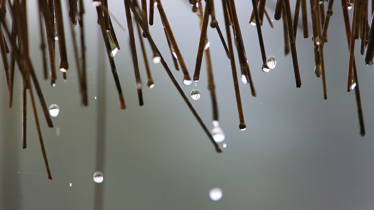 สภาพอากาศวันนี้ ไทยตอนบนมีฝนลดลงในระยะนี้ กทม.ฟ้าคะนองเหลือแค่ 30%