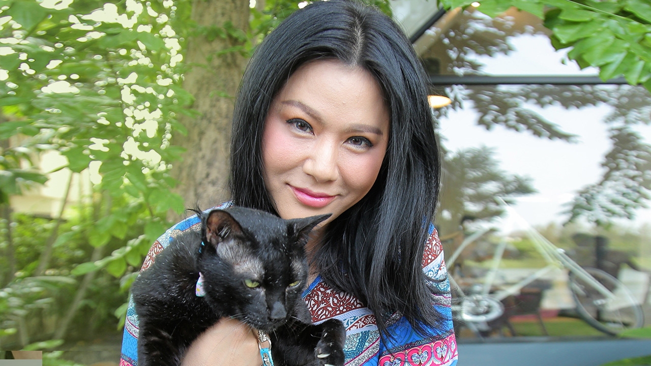 "น้ำผึ้ง" นางฟ้าแมวจร ละทิ้งของหรูขอผันตัวเป็นทาส