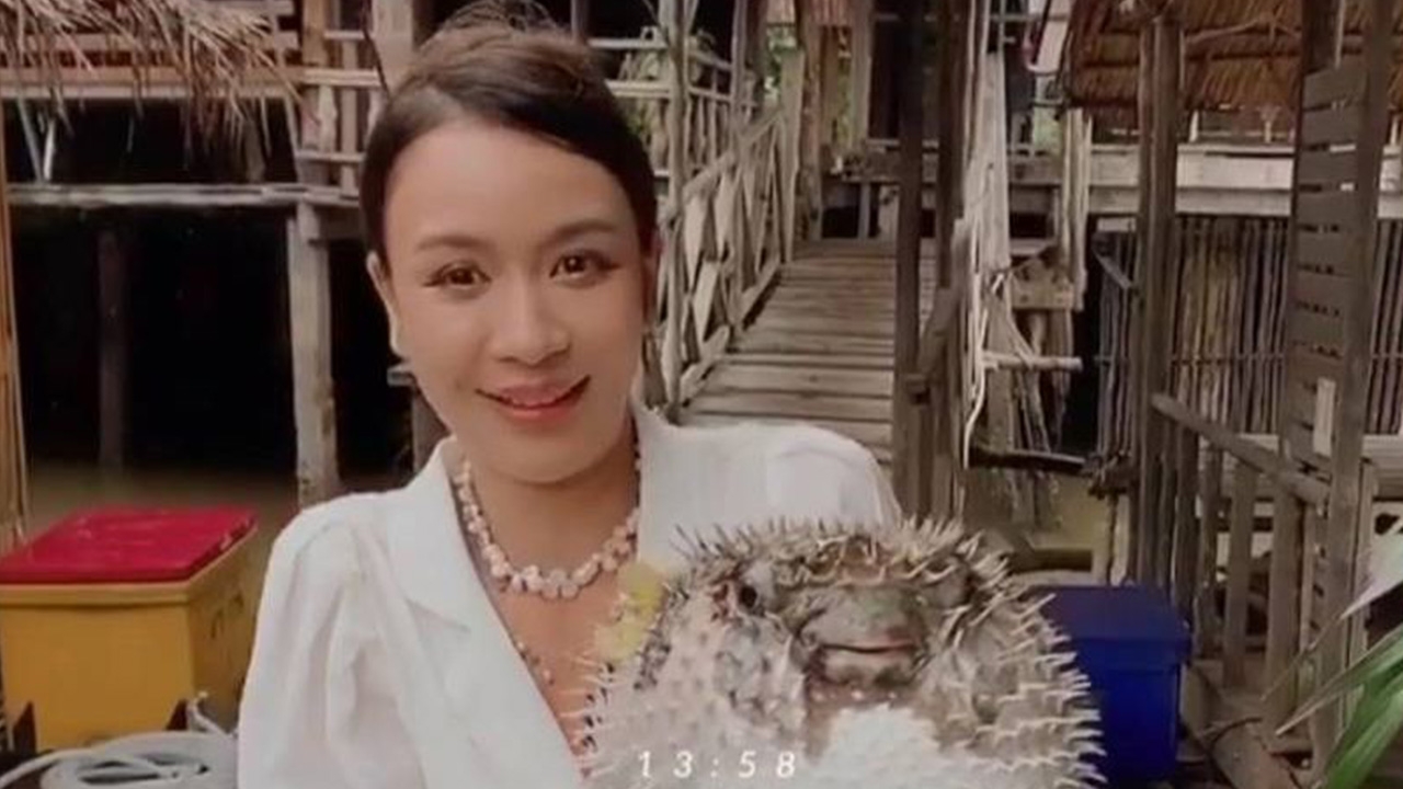 เบนซ์ ปุณยาพร โพสต์ขอโทษอุ้มปลาปักเป้าพองลม ไม่รู้เป็นการลดอายุขัย