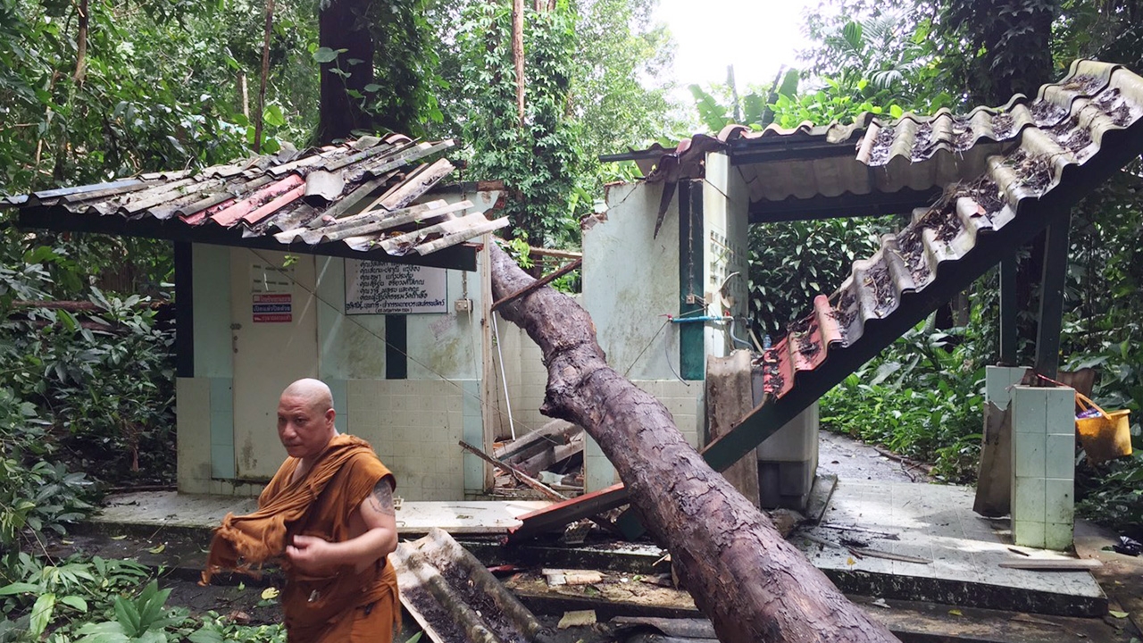 ลมพัดซัดต้นไม้ใหญ่ล้มทับกุฏิ "หลวงตาเทพ" นั่งฉันวิ่งหนีตาย รอดหวุดหวิด