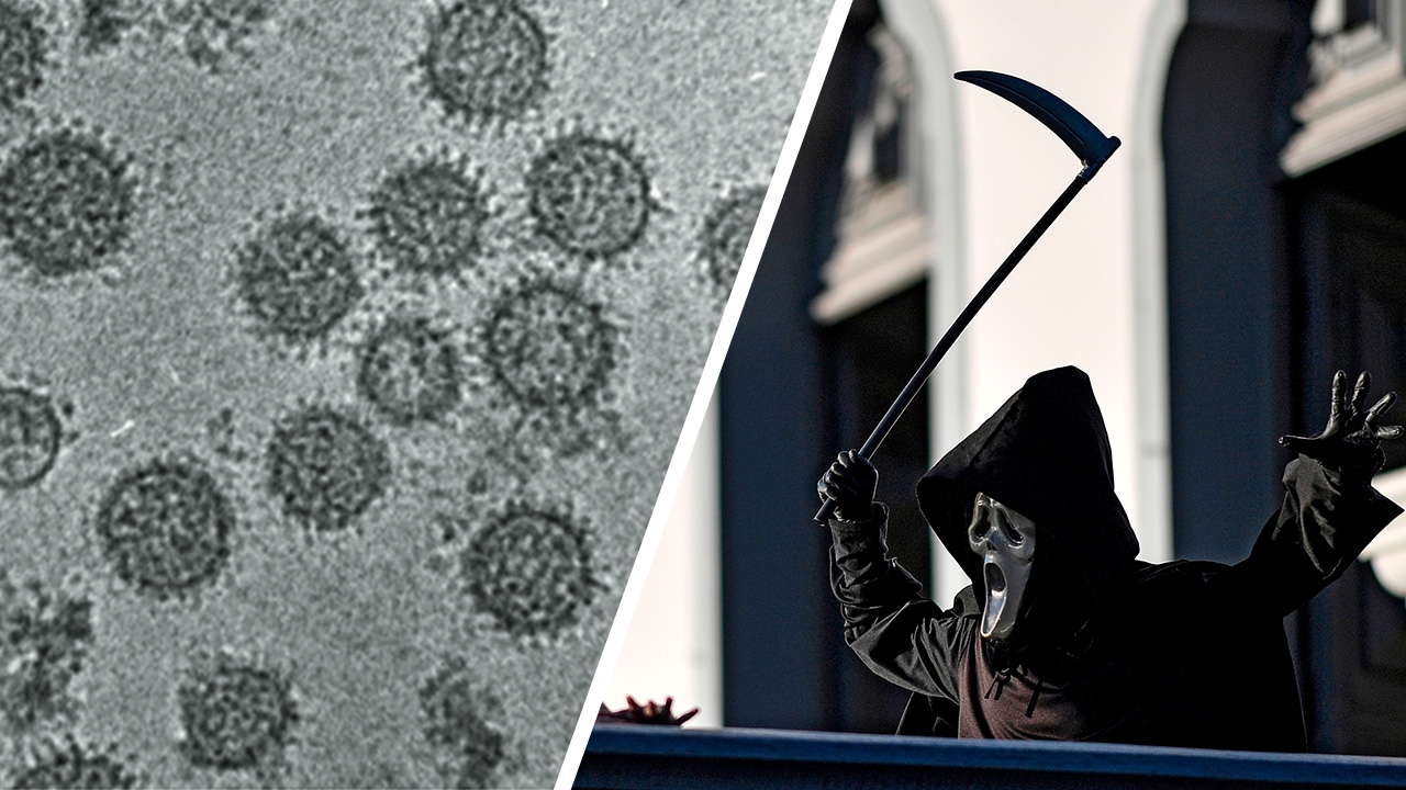 โควิด ยังไม่จบ โลกผวาไวรัสเห็บคืนชีพในจีน ติดจากคนสู่คน อันตรายถึงตาย