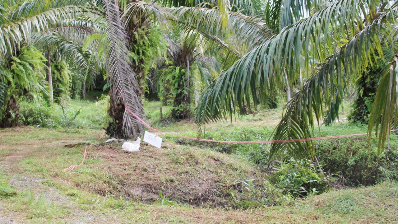 ชาวบ้านพังงาวอนตำรวจเร่งจับคนฆ่าสาวหาปู เผยคนตายมีปัญหาหนี้นอกระบบ